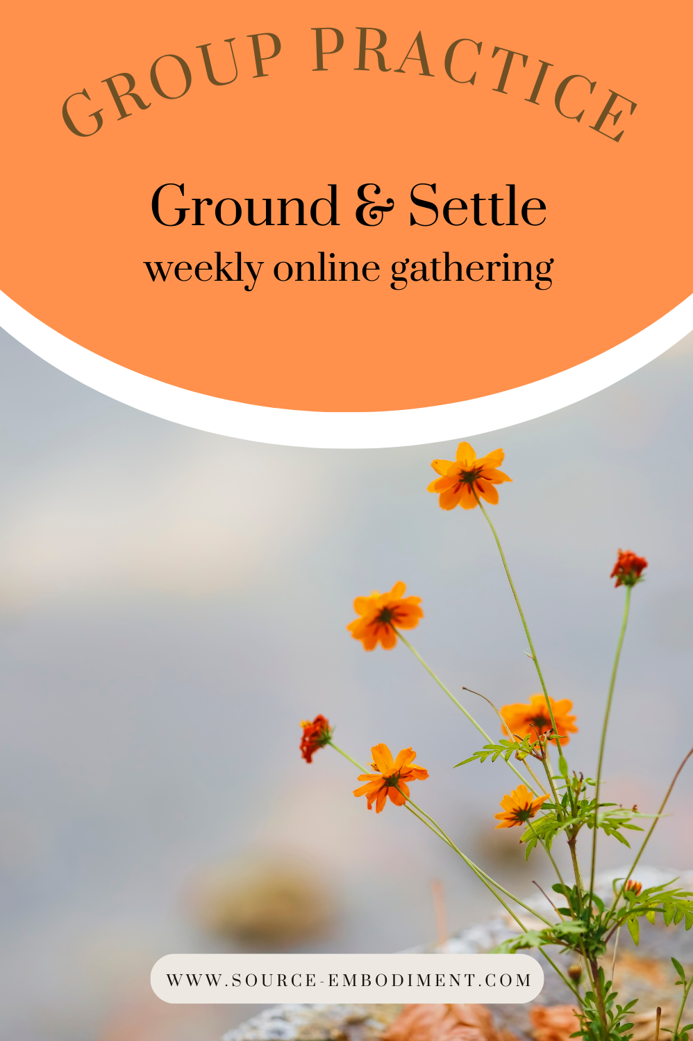 grounding settling trauma informed care support